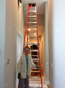 ladder_in_hall_thefarm.jpg (55929 bytes)